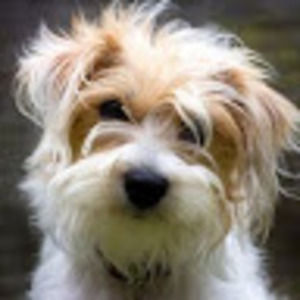 Meet your Posher, Fumiko